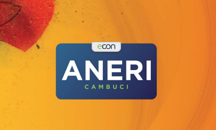 Aneri Cambuci